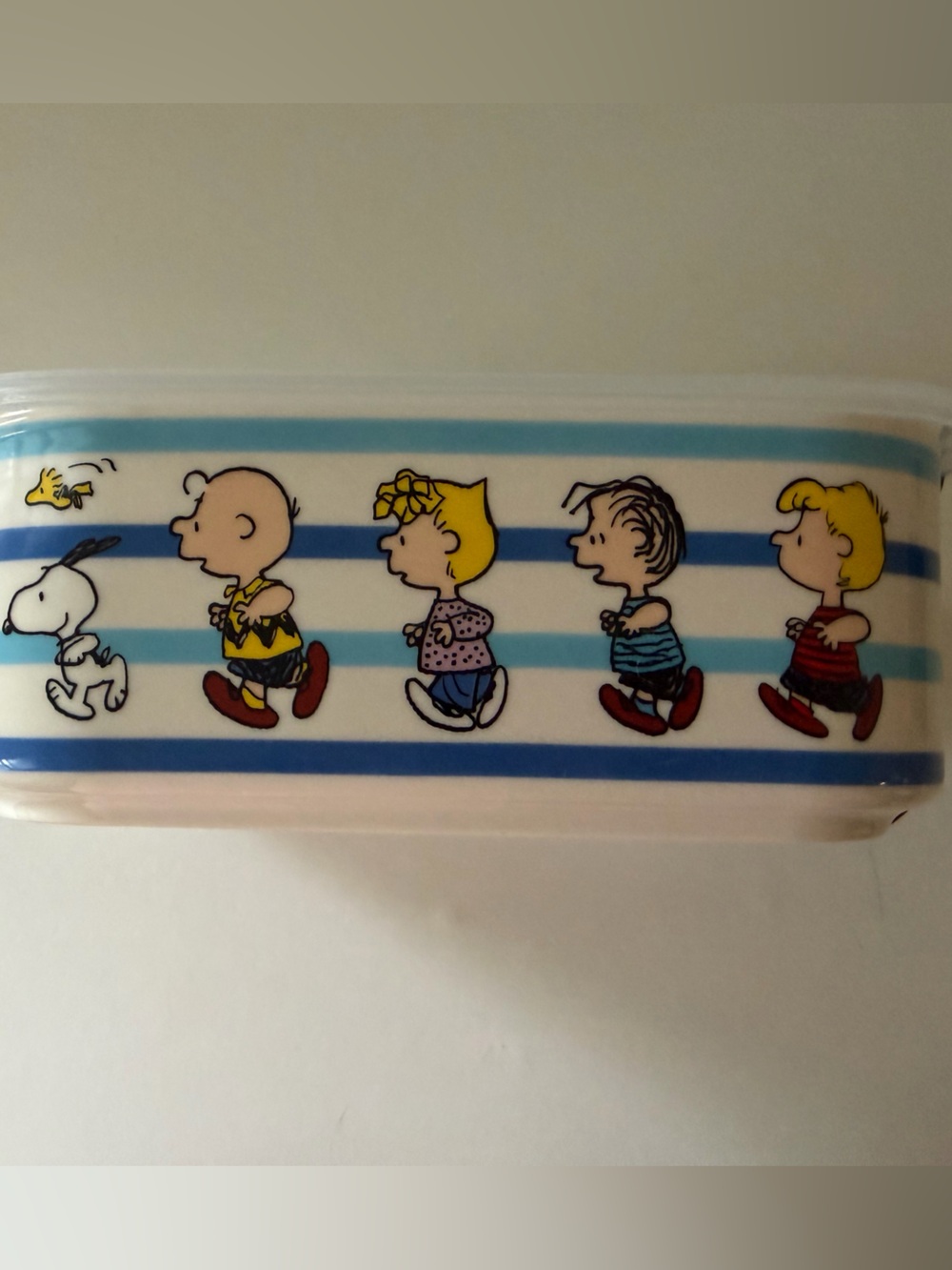 Peanuts Blue & White Stripe Phone Case with Colorful Characters